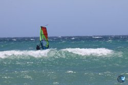 20260704-Canos-187.jpg