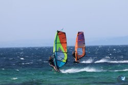 20260706-Bolonia-009.jpg