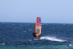 20260706-Bolonia-015.jpg