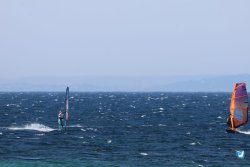 20260706-Bolonia-020.jpg