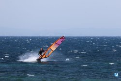 20260706-Bolonia-022.jpg