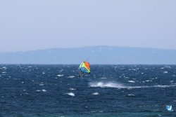 20260706-Bolonia-028.jpg