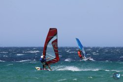 20260706-Bolonia-078.jpg