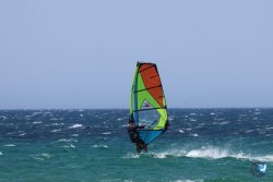 20260706-Bolonia-079.jpg