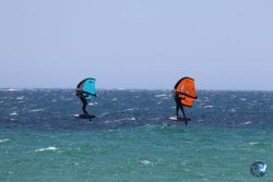 20260706-Bolonia-098.jpg