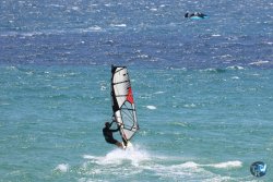 20260706-Bolonia-107.jpg