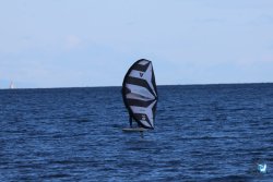 202610110-Franqui-AVboards-004.jpg