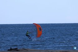 202610110-Franqui-AVboards-007.jpg