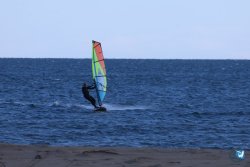 202610110-Franqui-AVboards-008.jpg