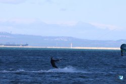 202610110-Franqui-AVboards-010.jpg