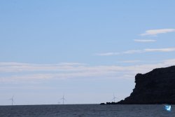 202610110-Franqui-AVboards-015.jpg