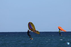 202610110-Franqui-AVboards-018.jpg