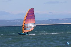 202610110-Franqui-AVboards-029.jpg