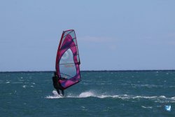 202610110-Franqui-AVboards-030.jpg