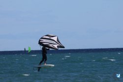 202610110-Franqui-AVboards-034.jpg