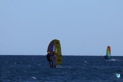 202610110-Franqui-AVboards-042.jpg