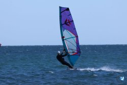 202610110-Franqui-AVboards-043.jpg
