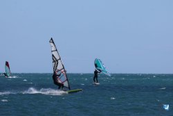 202610110-Franqui-AVboards-051.jpg