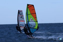 202610110-Franqui-AVboards-060.jpg