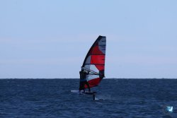 202610110-Franqui-AVboards-062.jpg