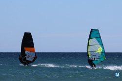 202610110-Franqui-AVboards-071.jpg