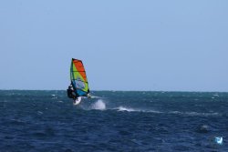 202610110-Franqui-AVboards-085.jpg