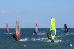 202610110-Franqui-AVboards-106.jpg