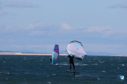 202610110-Franqui-AVboards-138.jpg