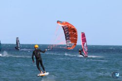 202610110-Franqui-AVboards-140.jpg