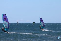 202610110-Franqui-AVboards-157.jpg