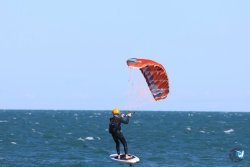 202610110-Franqui-AVboards-175.jpg