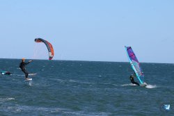 202610110-Franqui-AVboards-180.jpg
