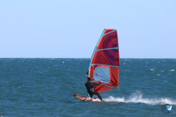 202610110-Franqui-AVboards-184.jpg