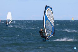 202610110-Franqui-AVboards-190.jpg