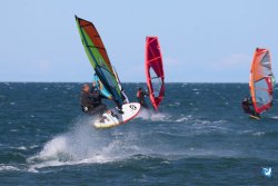 202610110-Franqui-AVboards-194.jpg