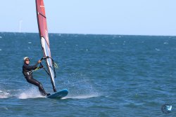 202610110-Franqui-AVboards-202.jpg