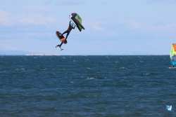 202610110-Franqui-AVboards-204.jpg
