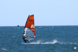 202610110-Franqui-AVboards-208.jpg