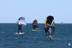 202610110-Franqui-AVboards-224.jpg
