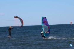 202610110-Franqui-AVboards-243.jpg