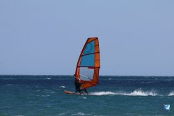 20261017-la-franqui-local-175.jpg