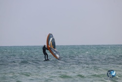 20220306-wing-004.JPG