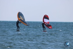 20220306-wing-017.JPG