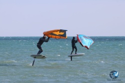 20220306-wing-027.JPG
