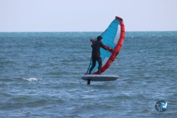 20220306-wing-066.JPG
