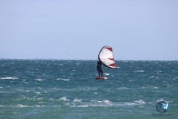 20220305-franqui-003.JPG
