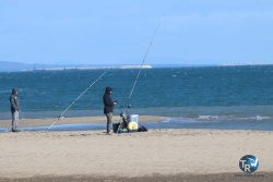 20220220-Franqui-004.JPG