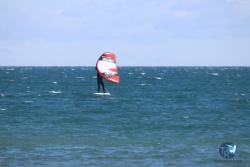 20220220-Franqui-027.JPG