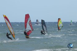 20220917-Estarti-096.JPG