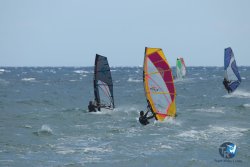 20220917-Estarti-097.JPG